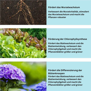 SoilBooster Düngemitteltablette - Stärkeres Pflanzenwachstum & längere Blütezeit