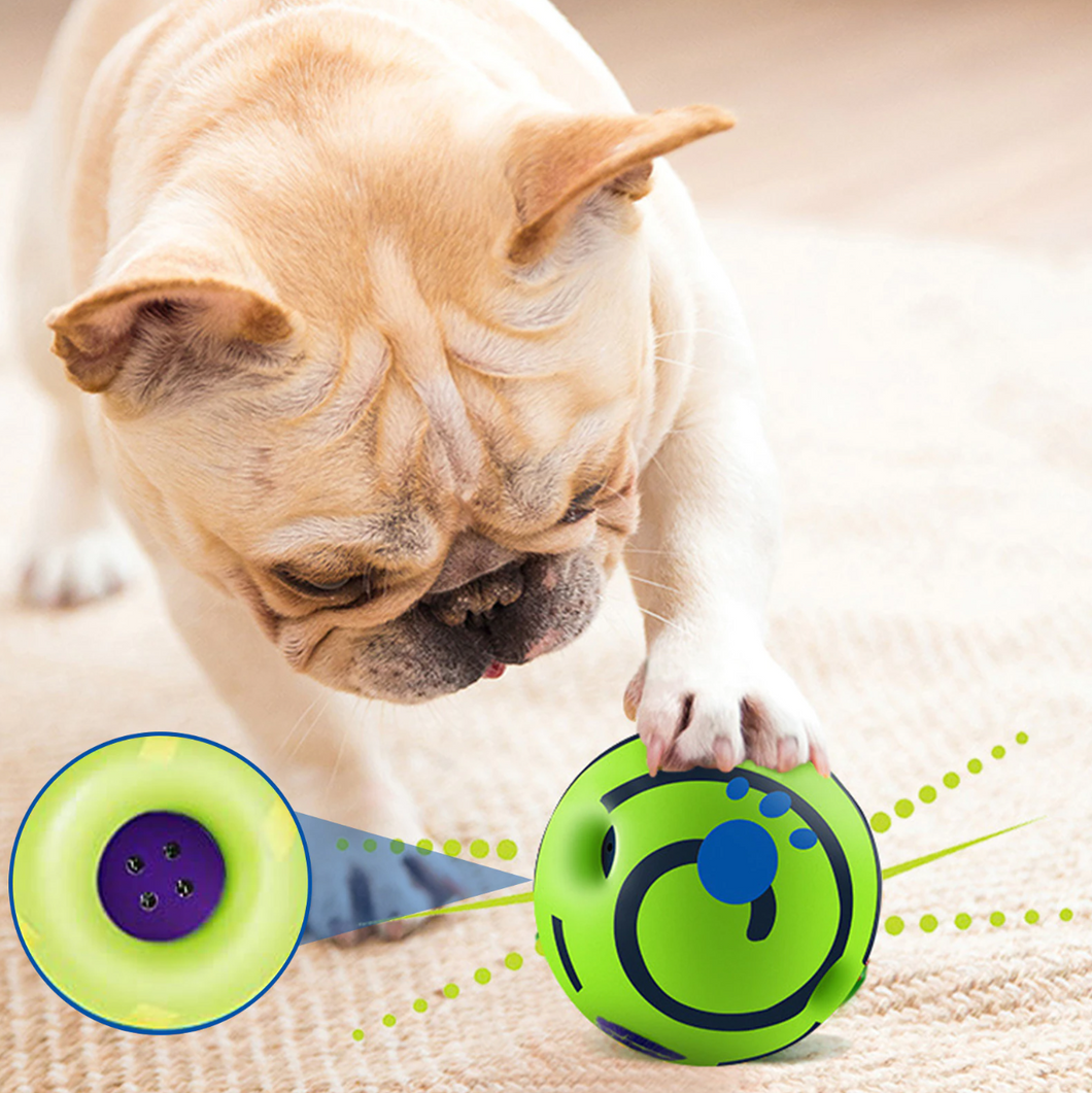 Babble Ball – Interaktives Hundespielzeug